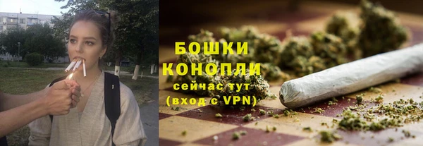 стафф Касимов