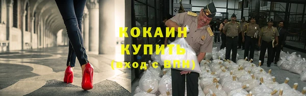 стафф Касимов
