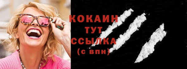 стафф Касимов
