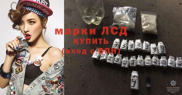 стафф Касимов