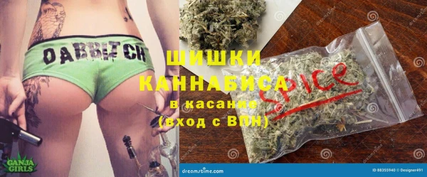 молекула духа Семилуки