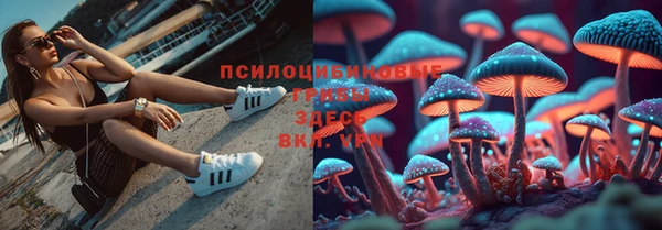 альфа пвп Каменск-Шахтинский