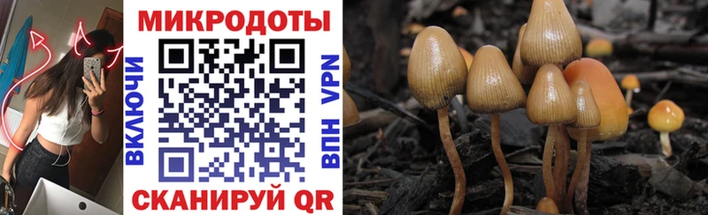 Псилоцибиновые грибы ЛСД купить наркотики сайты Михайловск